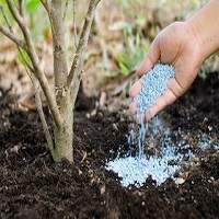 GCCL Crop Care